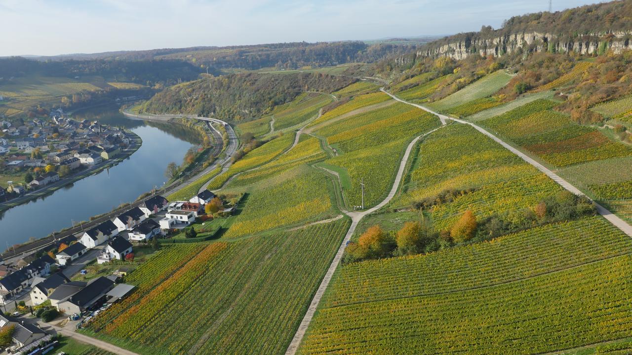 Weingut und Gästehaus Apel Nittel Exterior foto