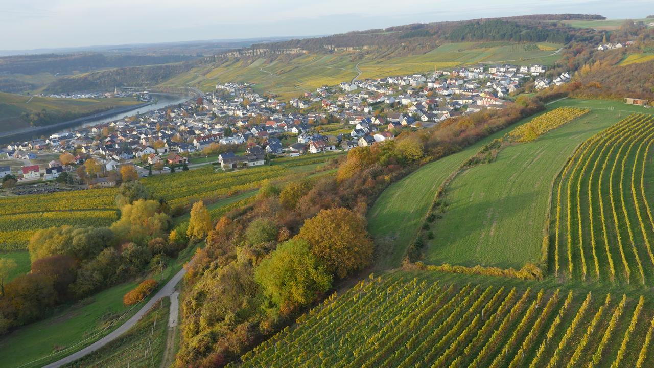 Hotel Weingut und Gästehaus Apel Nittel Exterior foto